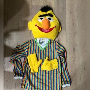 Adult Bert Costume - Sesame Street - Size Large (Like New)